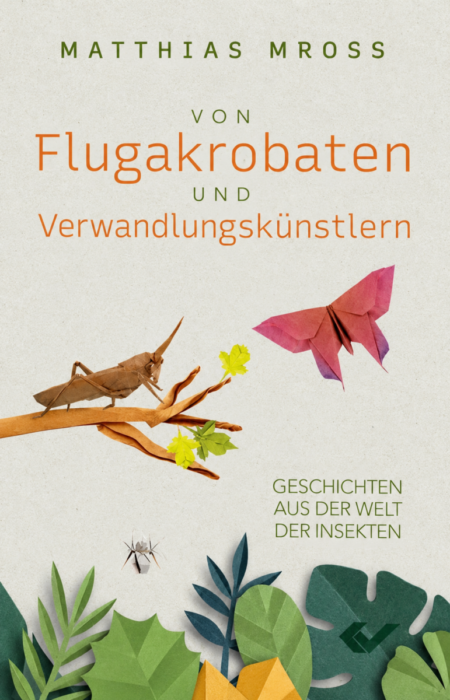 Von Flugakrobaten und Verwandlungskünstlern